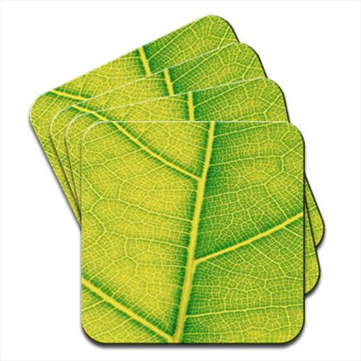 Luscious Green Leaves Hardwood Coasters / Placemats eBay